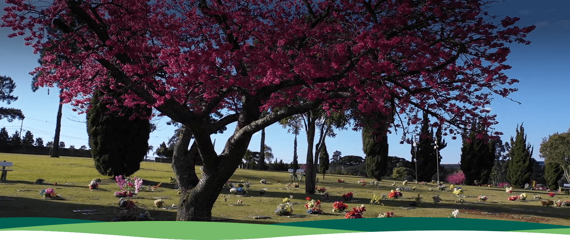Cemitério Parque São Pedro