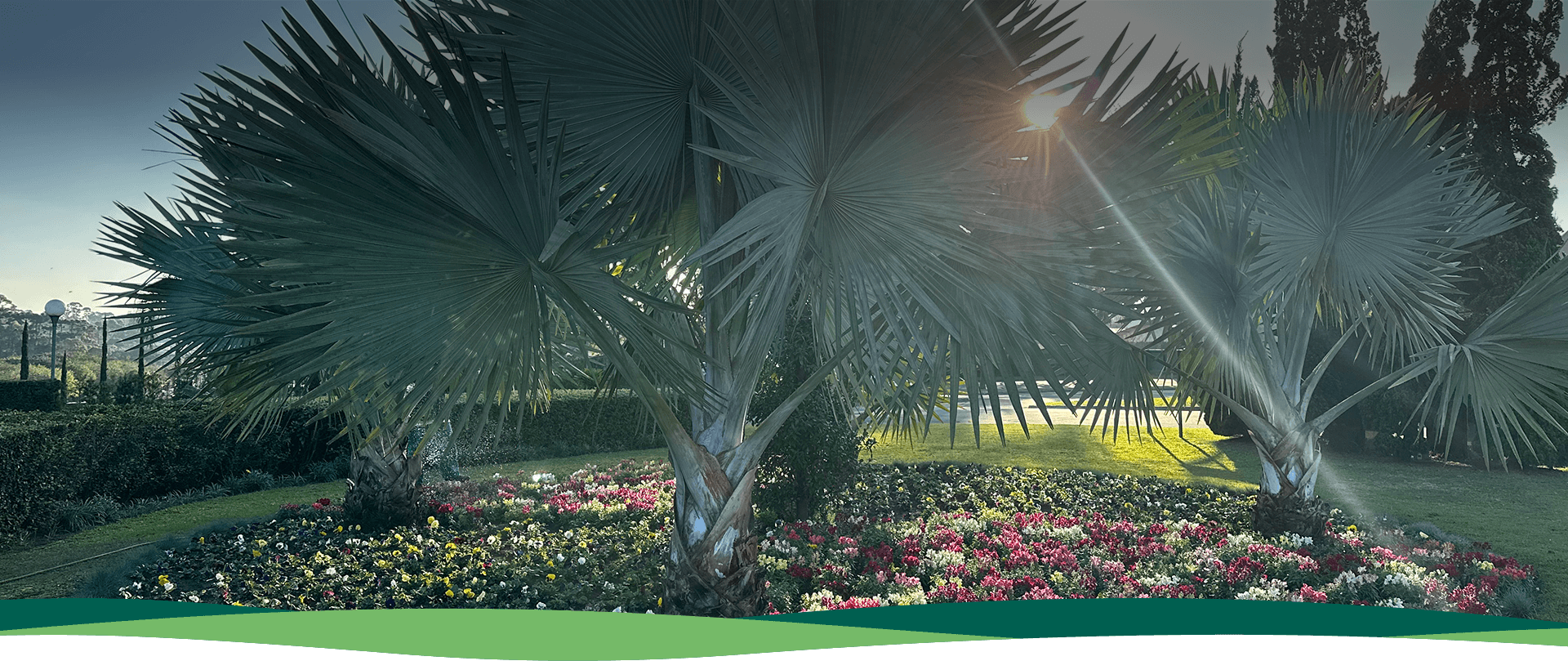 Cemitério Parque São Pedro