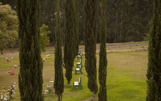 Espaços acolhedores na despedida: como o ambiente do cemitério impacta o luto