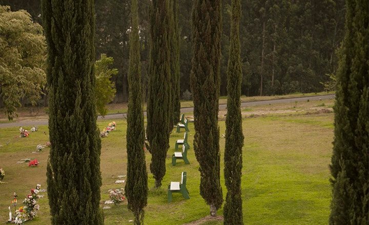 Espaços acolhedores na despedida: como o ambiente do cemitério impacta o luto